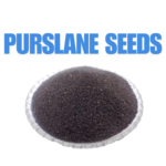 Purslane Seeds