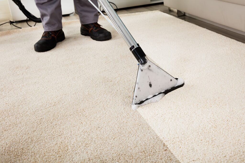 How much does carpet cleaning cost